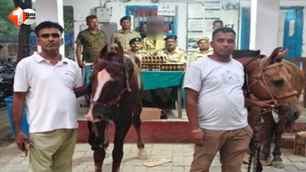 bihar news image