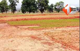 bihar news image