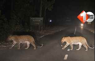 bihar news image