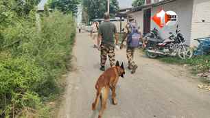 crime news image