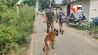 Bihar Crime News