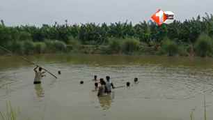 bihar news image