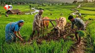 india news image