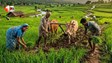 किसानों के लिए बड़ी खुशखबरी! इस दिन आएगी पीएम किसान सम्मान निधि की 23वीं  किस्त, जानिए नया अपडेट
