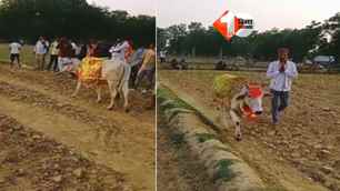 india news image