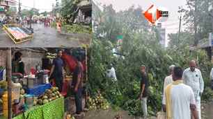 bihar news image