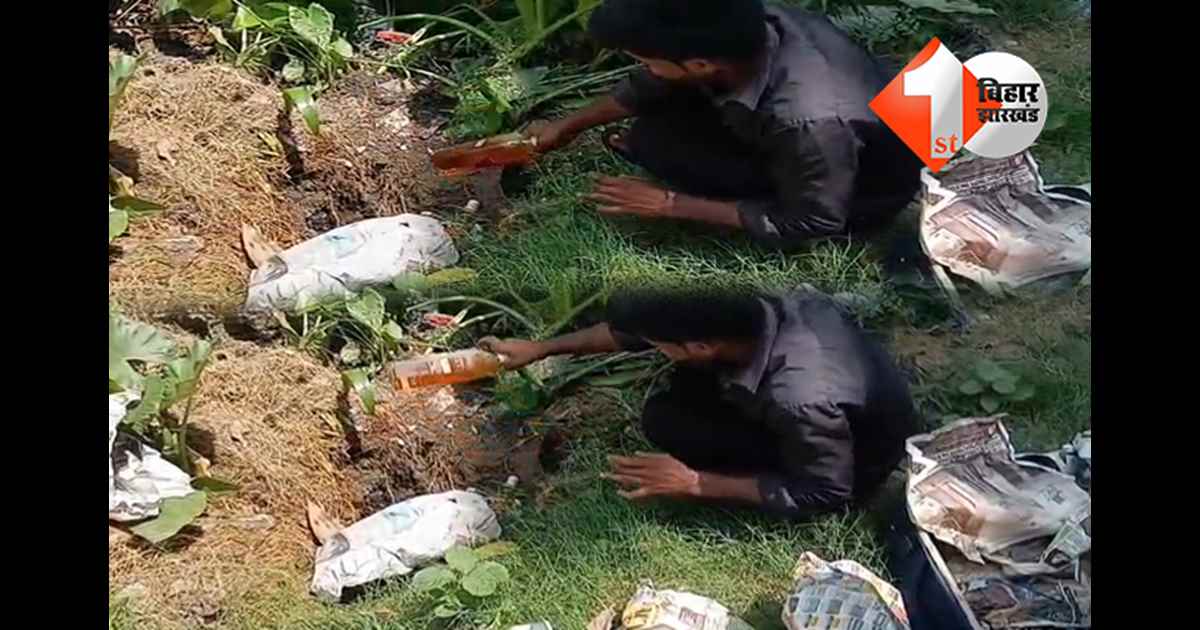 बिहार न्यूज