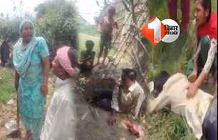 bihar news image