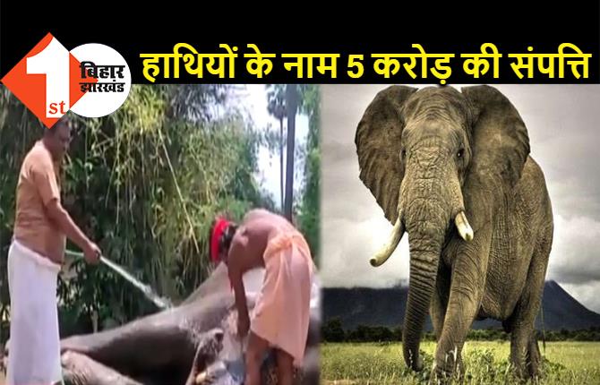 पटना के इस शख्स ने दो हाथियों के नाम की 5 करोड़ की प्रॉपर्टी, जानिये पूरी कहानी 