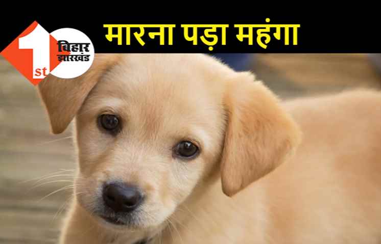 कुत्ते के बच्चे पर किया जानलेवा हमला, पटना पुलिस ने आरोपी को किया अरेस्ट