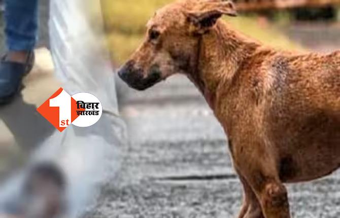 लापरवाही की हद : मोर्चरी में लाश को कुत्ते ने नोंच - नोंच कर खाया, अब हॉस्पिटल में हुआ बवाल 