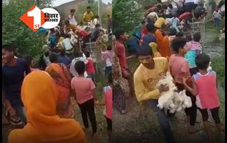बिहार: हादसे के बाद सड़क किनारे पलटी मुर्गा लोड पिकअप वैन, लोगों में चिकन लूटने की मची होड़