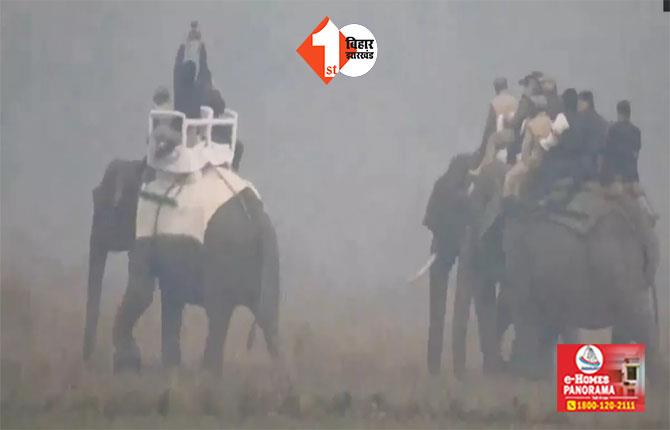 सुबह-सुबह  नेशनल पार्क पहुंचे पीएम मोदी, हाथी पर बैठकर की जंगल सफारी
