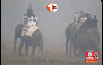 सुबह-सुबह  नेशनल पार्क पहुंचे पीएम मोदी, हाथी पर बैठकर की जंगल सफारी
