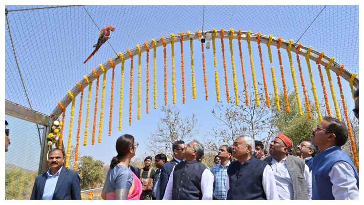 इस जिले के जू-सफारी में बना बर्ड एवियरी..निहारते रह जाएंगे पक्षियों की खूबसूरती