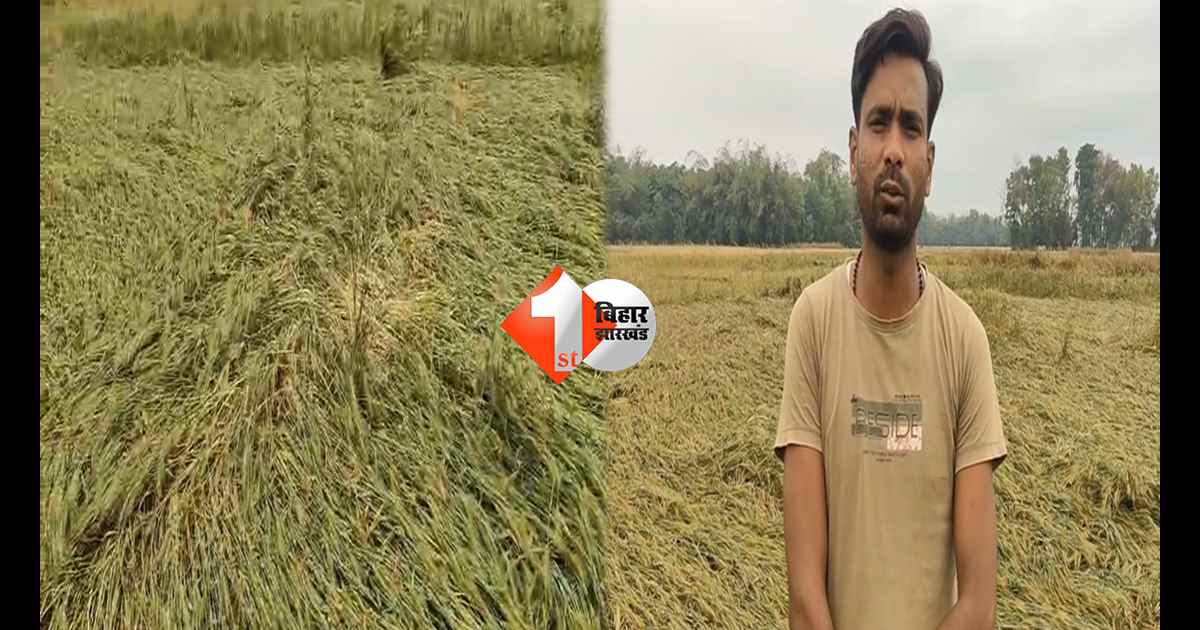 बिहार न्यूज