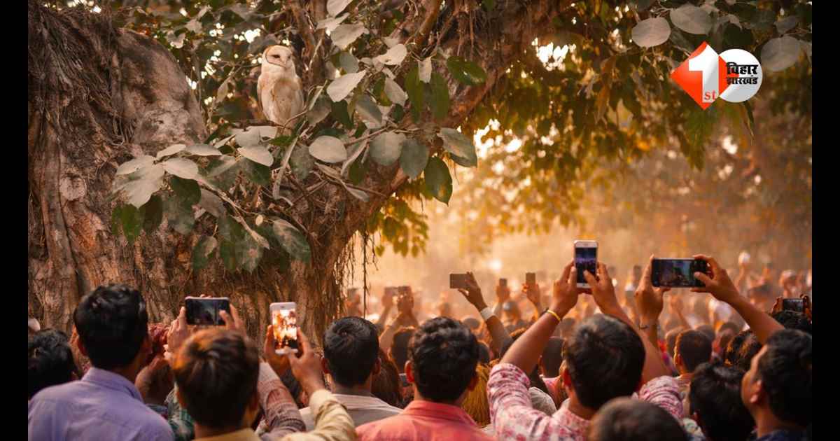 होली पर बिहार के इस जिले में दिखा अनोखा नजारा, लोगों की उमड़ी भीड़; जाने क्या पूरी खबर