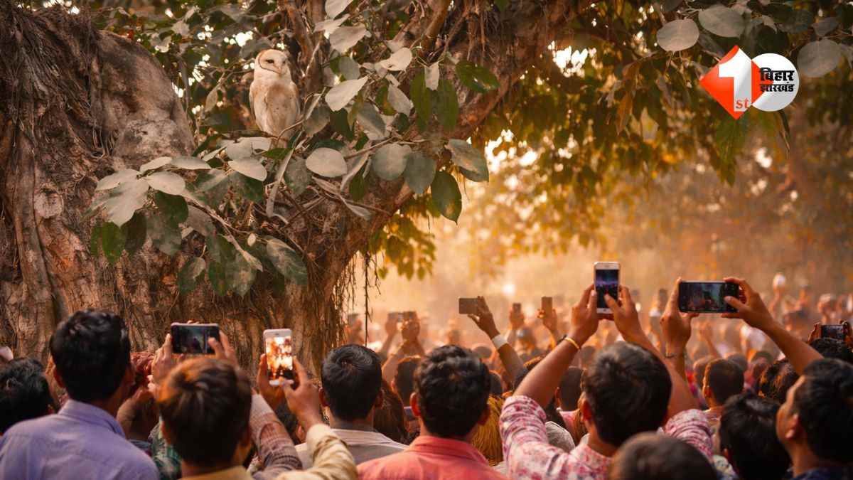 होली पर बिहार के इस जिले में दिखा अनोखा नजारा, लोगों की उमड़ी भीड़; जाने क्या पूरी खबर