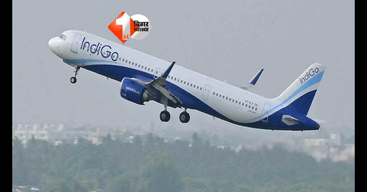 IndiGo flight ticket