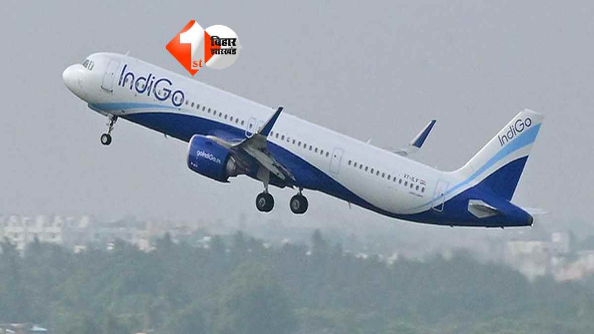 IndiGo flight ticket