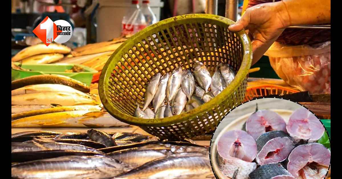 खुले में मांस-मछली कारोबार बैन: निगम ने चलाया सख्त अभियान, 686 दुकानों पर रोक, नियम तोड़ने वालों पर होगी कड़ी कार्रवाई