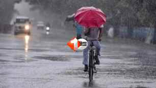 patna-news news image