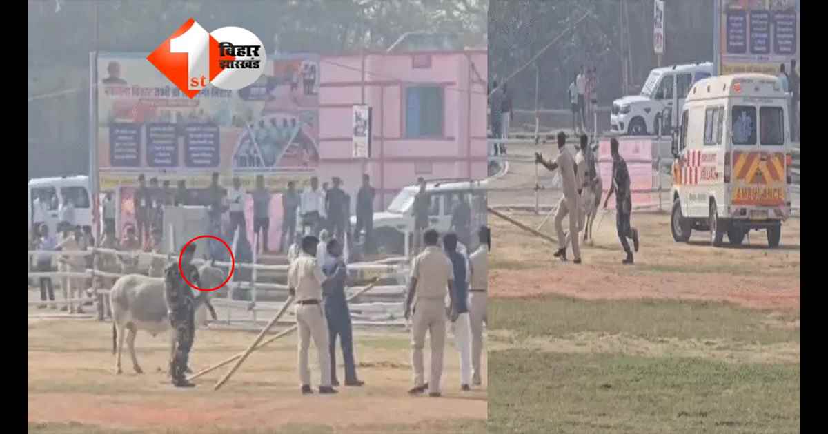 BIHAR NEWS : Begusarai में CM Nitish की सुरक्षा में बड़ी चूक! हेलीपैड पर घुसा बैल, पुलिसकर्मियों में मची अफरा-तफरी