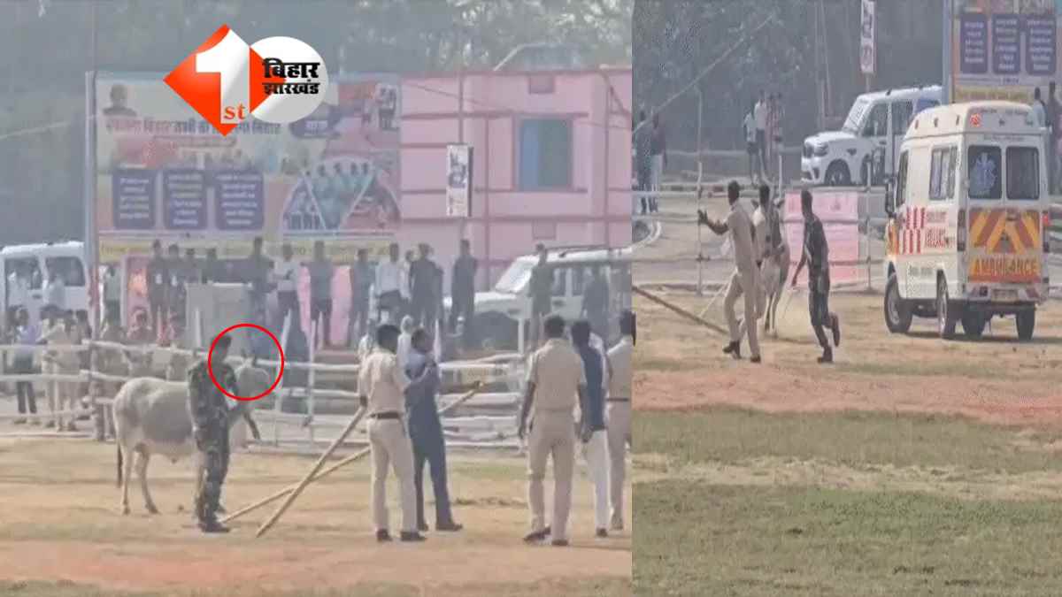 BIHAR NEWS : Begusarai में CM Nitish की सुरक्षा में बड़ी चूक! हेलीपैड पर घुसा बैल, पुलिसकर्मियों में मची अफरा-तफरी