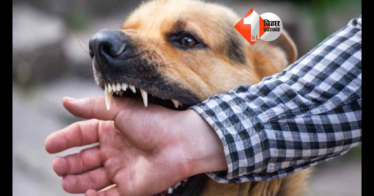 बिहार न्यूज