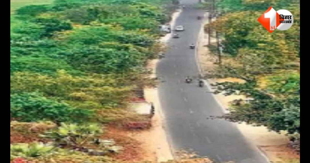 Bihar Road News, Patna Road Project, Bihta Danapur Road, Path Nirman Vibhag Bihar, NH-30 Bihta Chowk Danapur Road, Bihar Infrastructure, Bihar Tender News