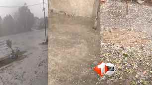 patna-news news image