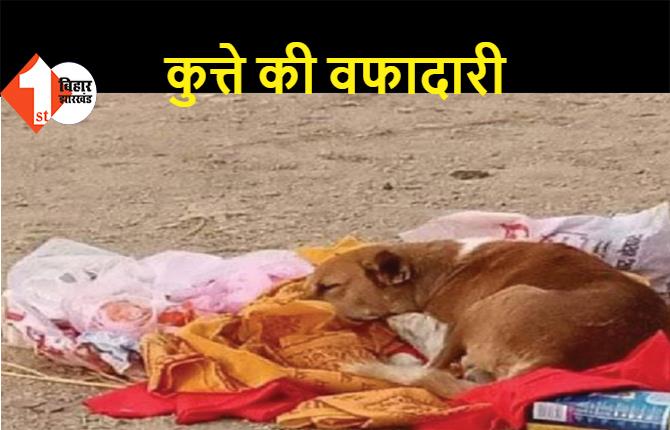 गया: मालकिन की मौत के 4 दिनों तक श्मशान घाट पर भूखा-प्यासा बैठा रहा वफादार कुत्ता