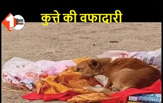 गया: मालकिन की मौत के 4 दिनों तक श्मशान घाट पर भूखा-प्यासा बैठा रहा वफादार कुत्ता