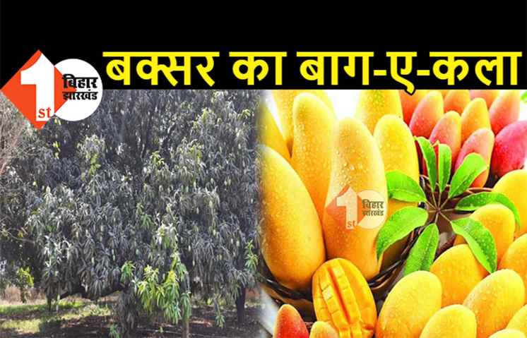 बिहार के इस बगीचे की बात ही कुछ और है: 56 बीघे के एक बाग में 45 किस्म के आम, कई ऐसे जो कहीं और नहीं मिलेंगे