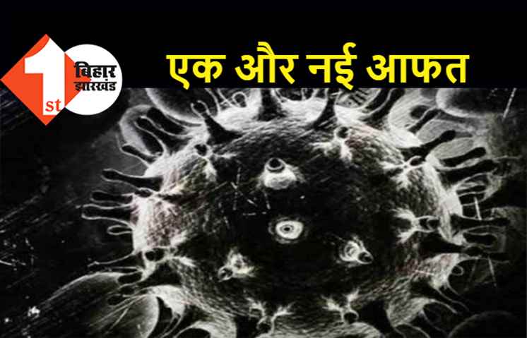 ब्लैक फंगस से भी ज्यादा खतरनाक है व्हाइट फंगस, पटना में चार नए मरीज मिले, जानें क्या हैं लक्षण और बचाव के उपाय