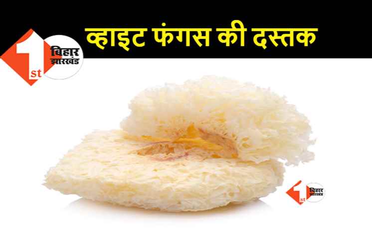 अब नया कहर: ब्लैक फंगस से कई गुणा खतरनाक व्हाइट फंगस फैलने लगा है, 4 मरीजों की पहचान हुई