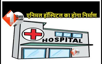 बिहार में बनने जा रहा है राज्य का दूसरा एनिमल हॉस्पिटल, जंगलों में घायल या बीमार जानवरों का होगा इलाज