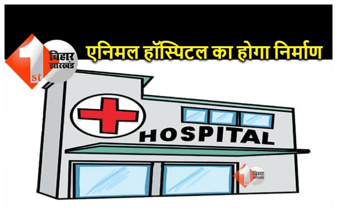 बिहार में बनने जा रहा है राज्य का दूसरा एनिमल हॉस्पिटल, जंगलों में घायल या बीमार जानवरों का होगा इलाज