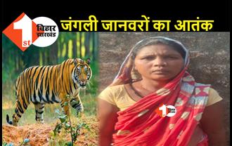 बिहार: बाघ के हमले में महिला की दर्दनाक मौत, दहशत में ग्रामीण