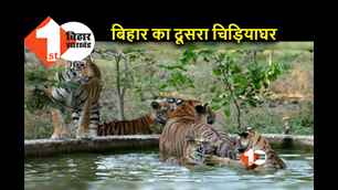catagory