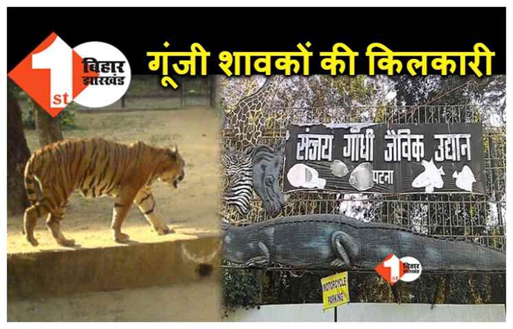 बिहार : संजय गांधी जैविक उद्यान में खुशी का माहौल, बाघिन संगीता ने 4 शावकों को दिया जन्म