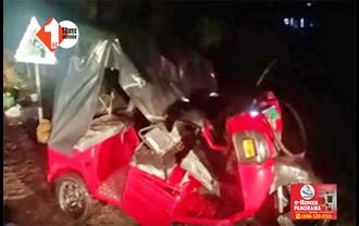 आंधी के कारण गिरा पेड़, ई-रिक्शा चालक की मौत; सब्जी बेच रही महिला समेत दो घायल