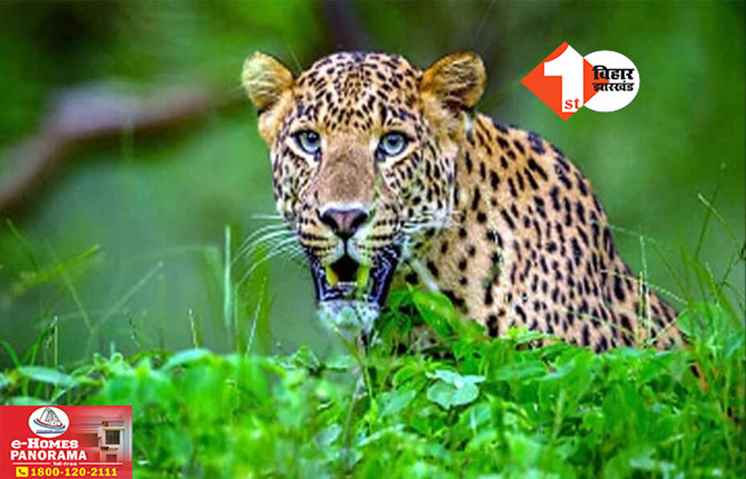 Bihar News