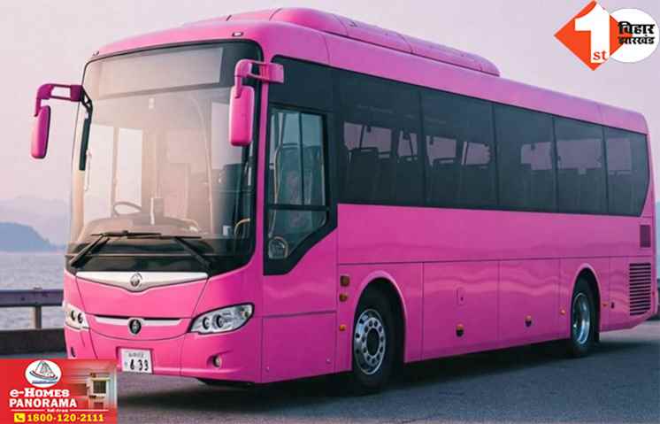 Pink Bus