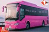 Pink Bus