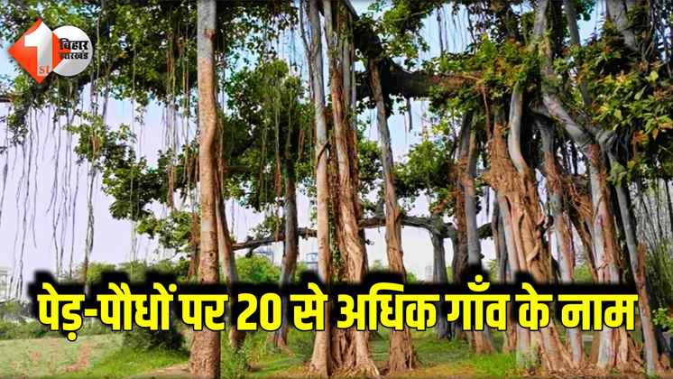 Bihar News