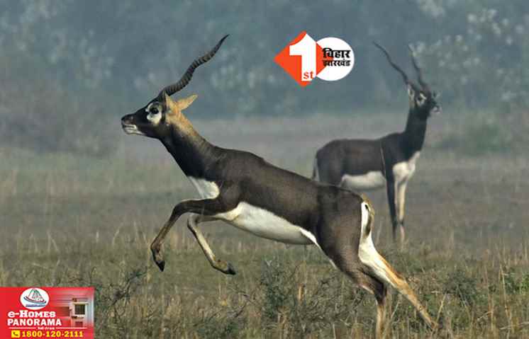 Bihar News