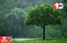 Monsoon 2025 Update