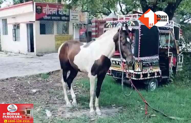 Bihar Crime News