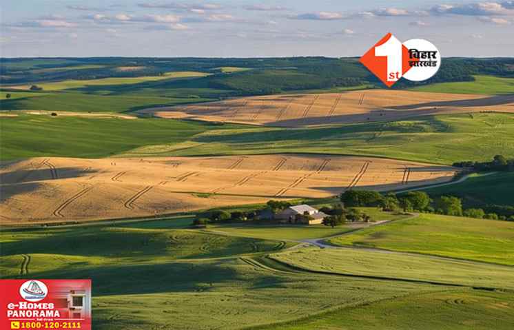 Land Scam